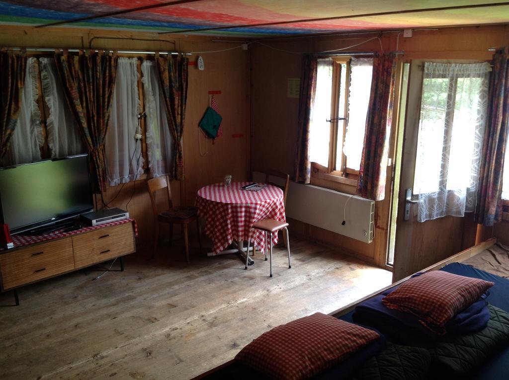 Panorama Hotel Wagenkehr Innertkirchen Ruang foto