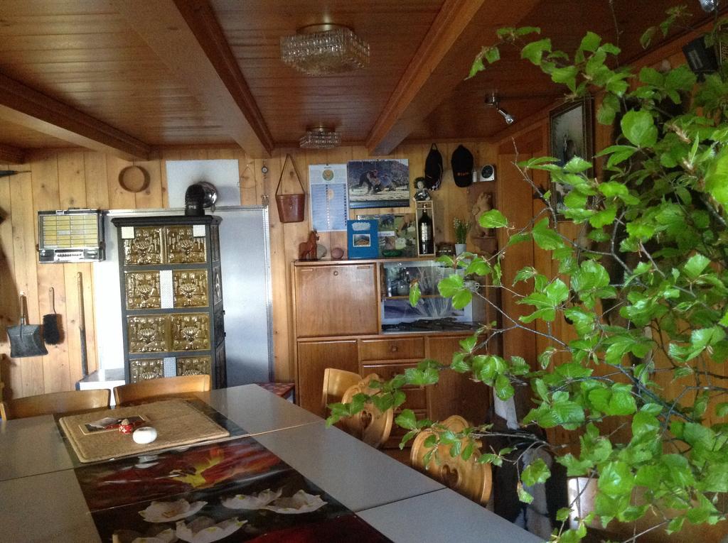 Panorama Hotel Wagenkehr Innertkirchen Bagian luar foto